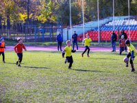 игры 10.05
